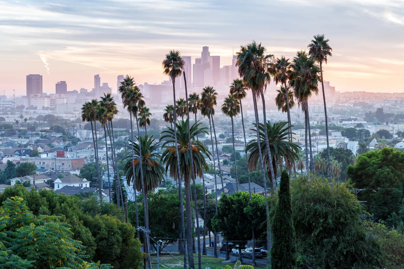 The downtown Los Angeles skyline in haze beyond a stand of tall palms at sunset